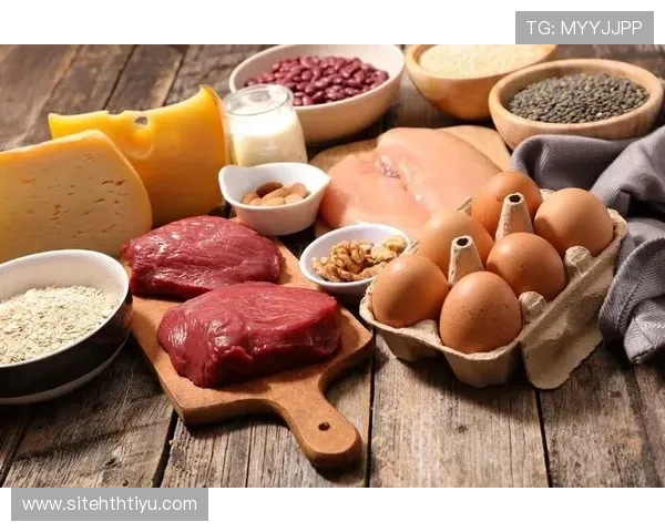 hth体育食物健康饮食指南助你提升运动表现与身体素质的实用建议